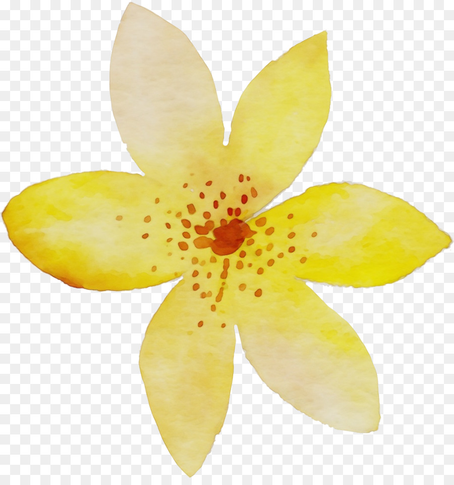 Pétale，Fleur PNG