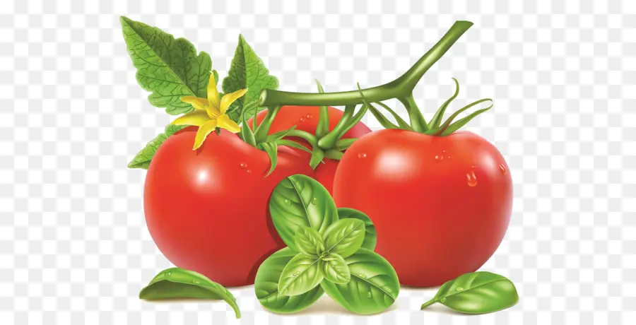 Les Aliments Naturels，Plant De Tomate PNG