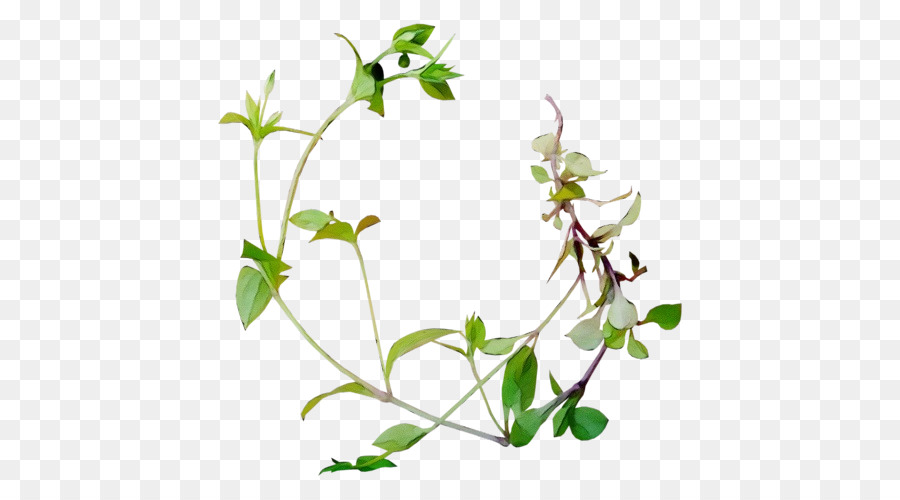 Fleur，Plante PNG