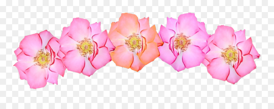 Fleurs，Fleurir PNG