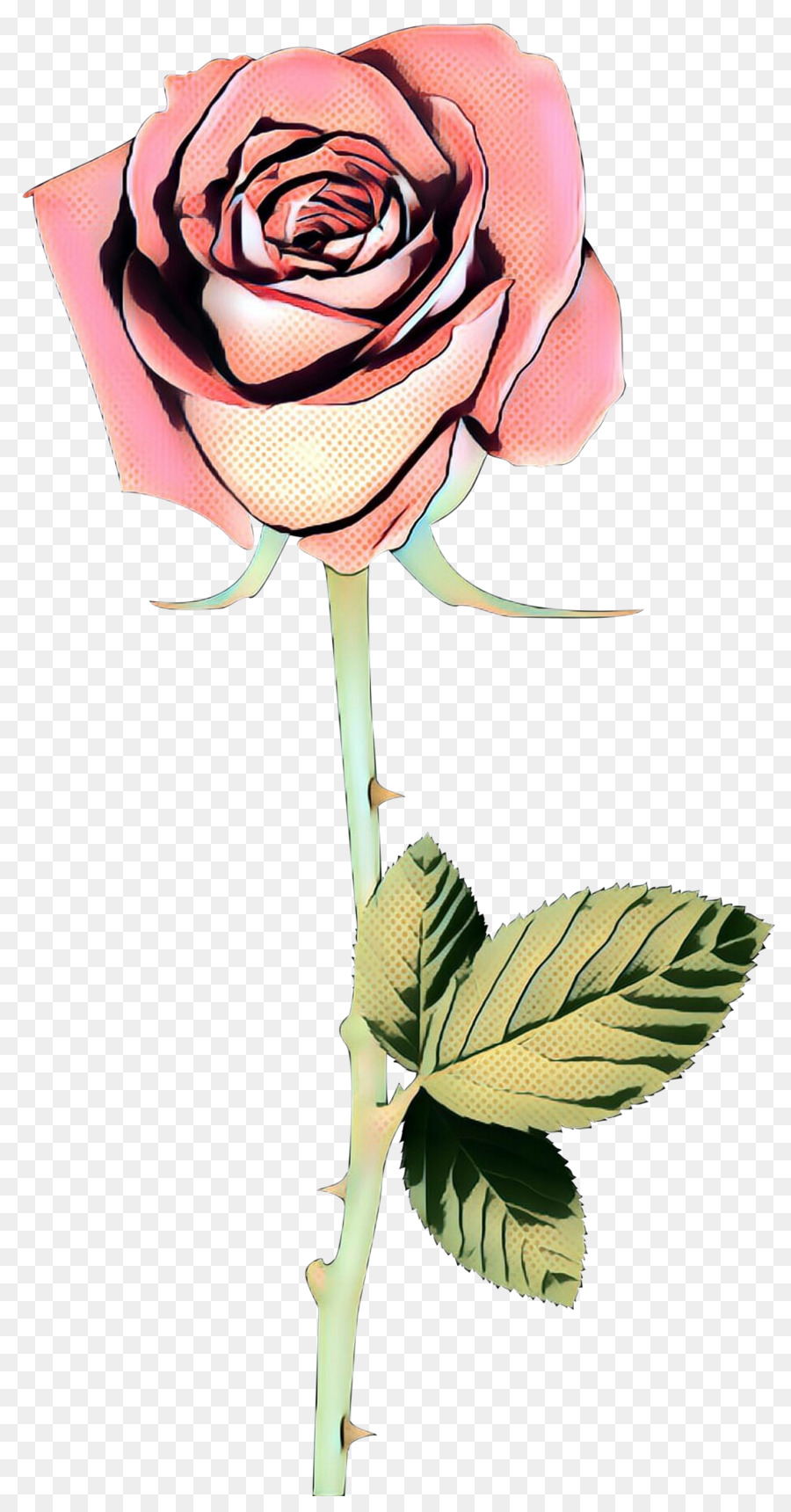 Fleur，Rose PNG