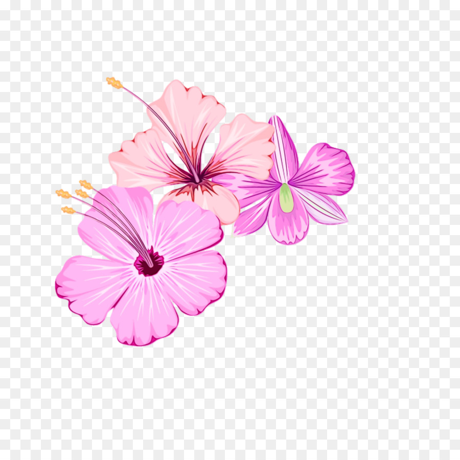 Fleurs Roses，Fleurir PNG