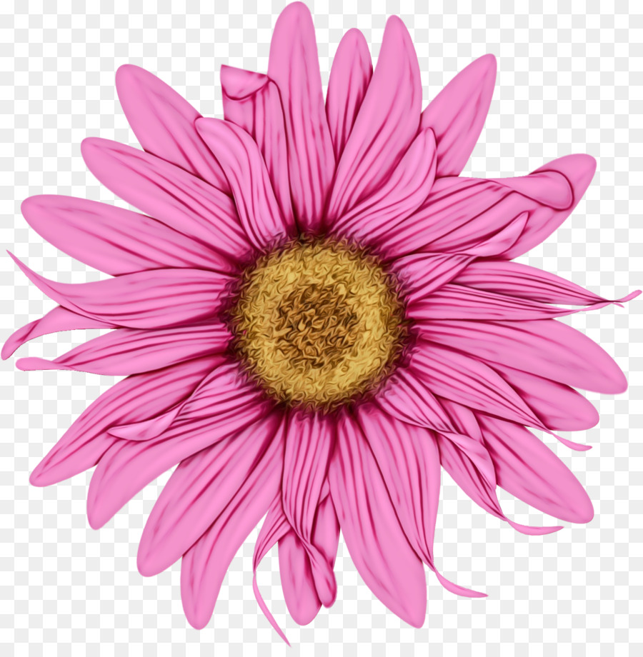 Fleur，Floraison PNG