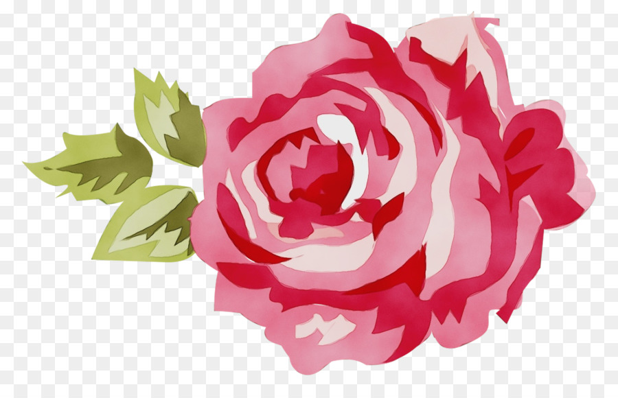 Roses Rouges，Floraison PNG