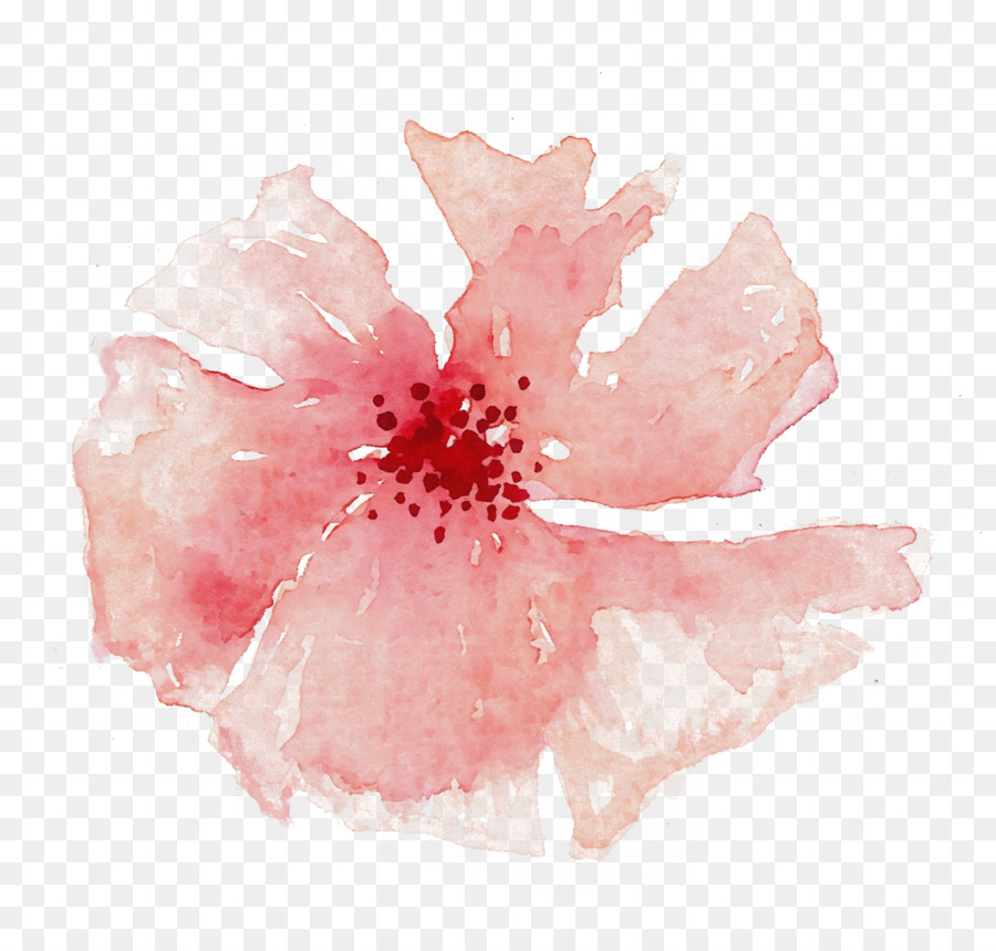 Fleur，Rouge PNG