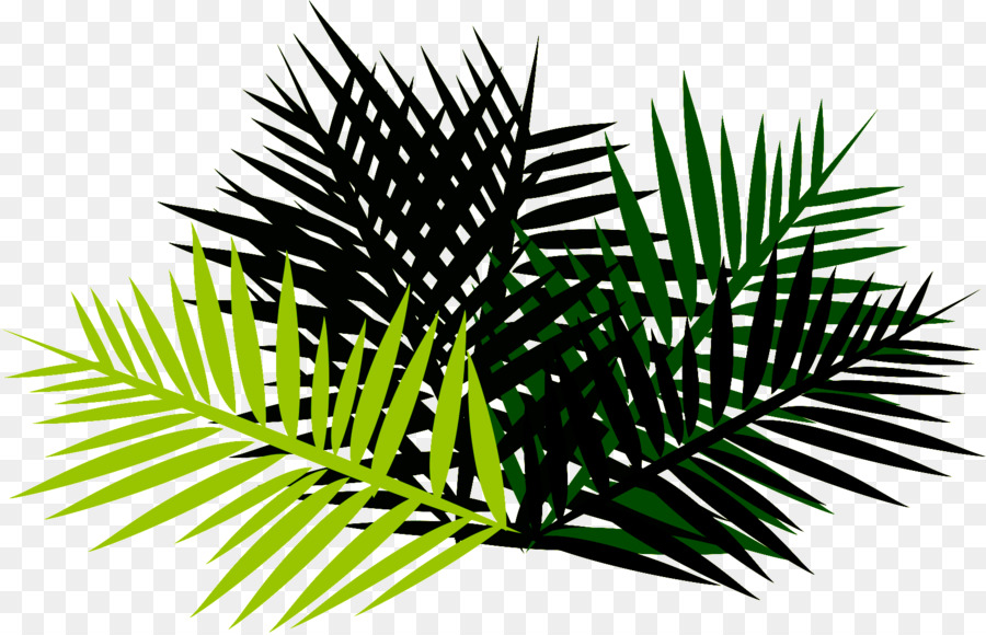 Palme，Tropical PNG