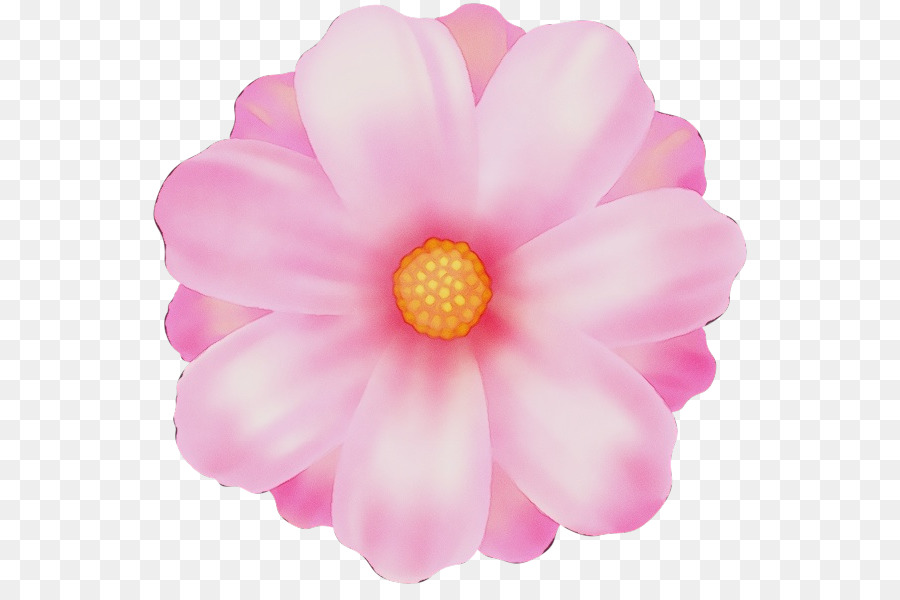 Pétale，Rose PNG