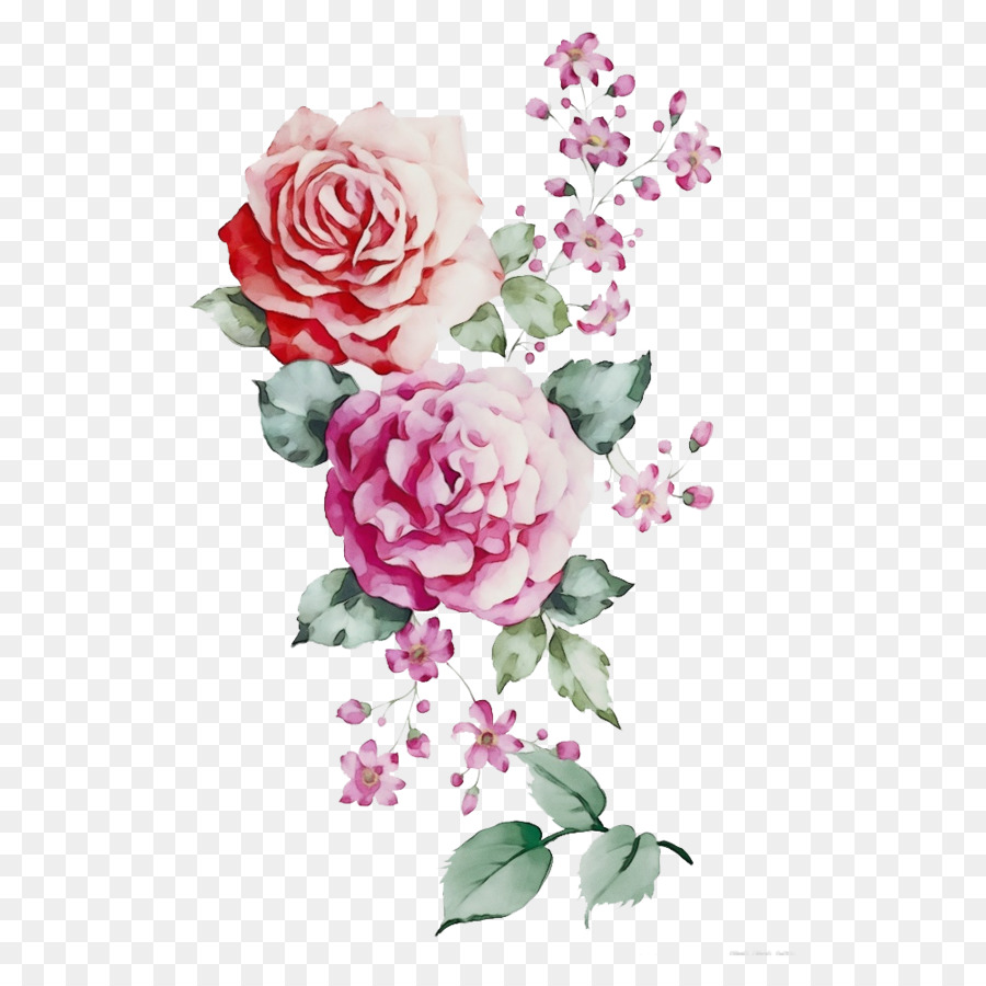 Fleurs，Rose PNG