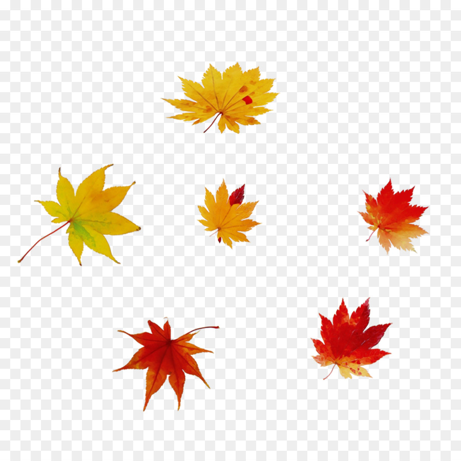 Feuilles D'érable，Automne PNG