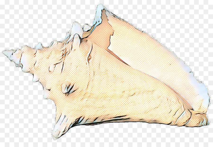 Drebe，Conque PNG