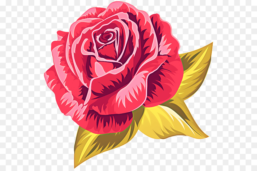 Roses，Floraison PNG