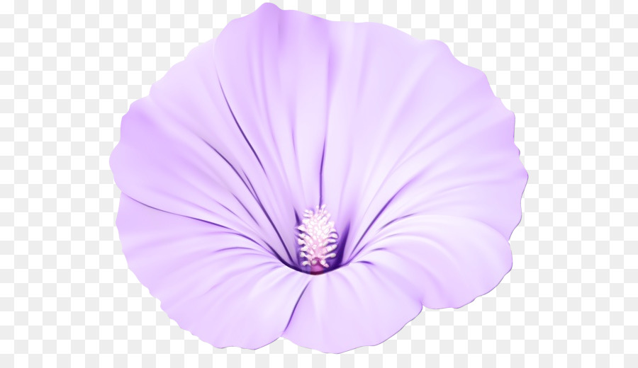 Fleur Violette，Fleurir PNG