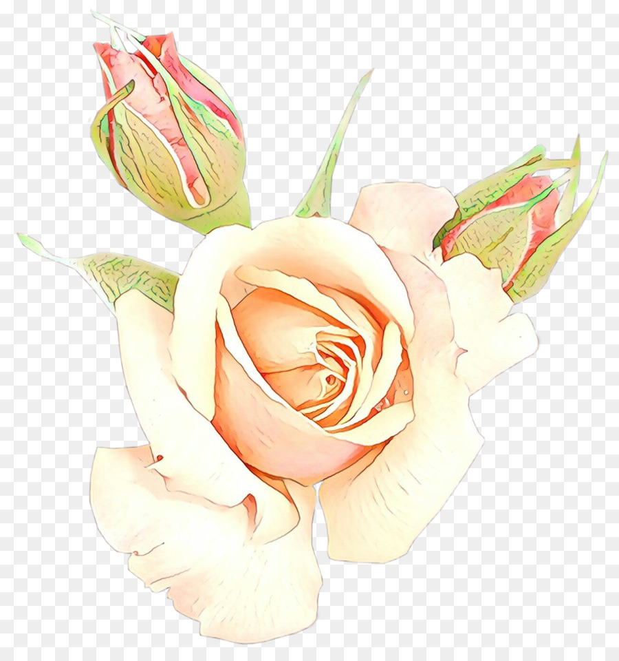 Rose Rose，Feuilles Vertes PNG