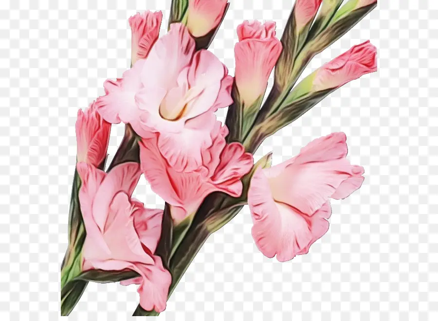 Fleurs Roses，Fleurir PNG