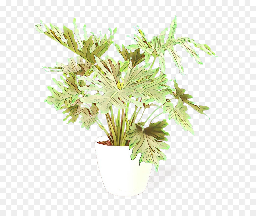 Fleur，Plante PNG