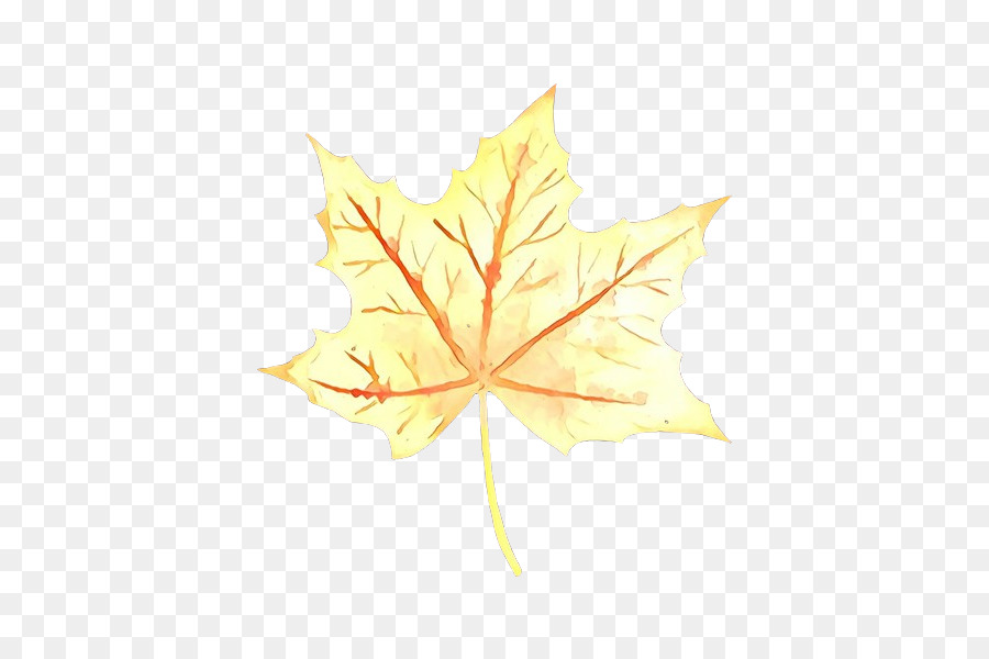 Feuilles Jaunes，Automne PNG