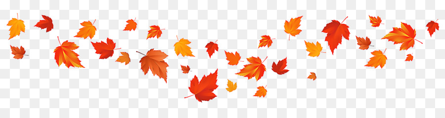 Feuilles D'automne，Automne PNG