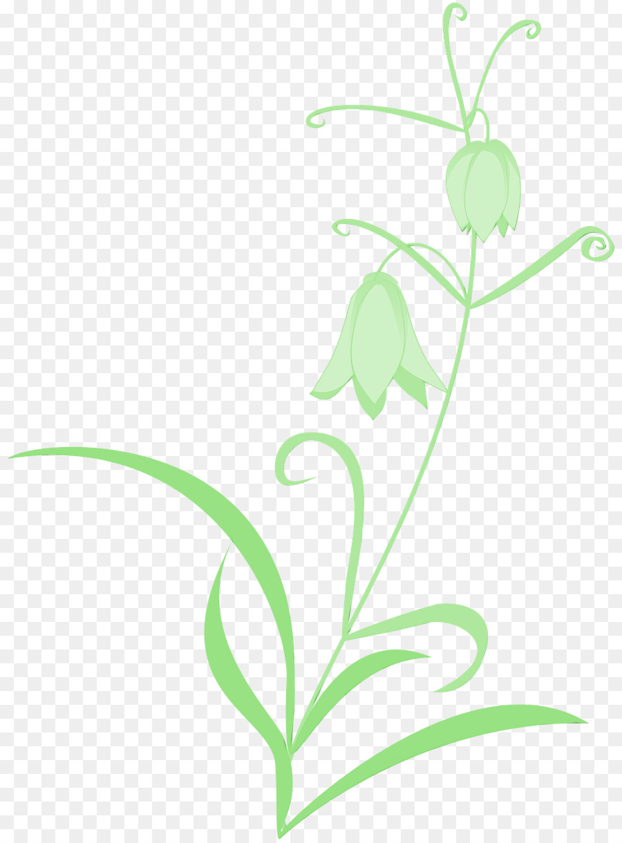 Plante，Fleur PNG