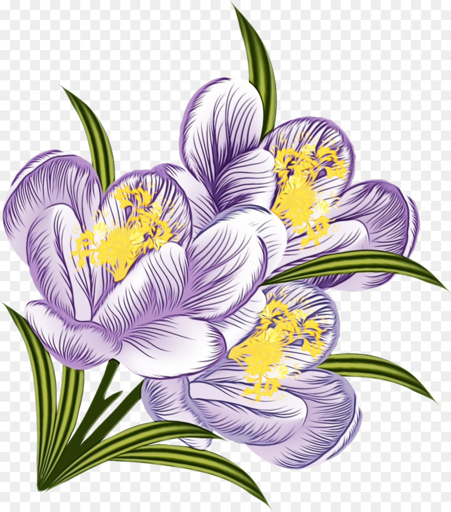 Fleurs Violettes，Crocus PNG