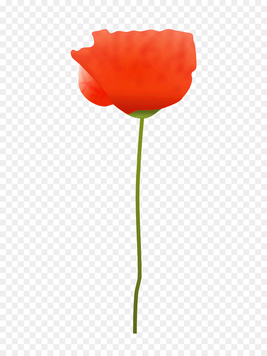 Tulipe Rouge，Tige PNG