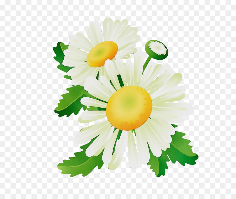 Fleurs，Fleurir PNG