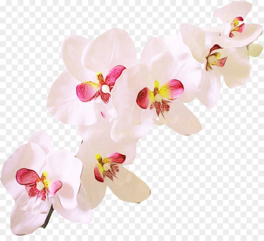 Fleurs Blanches Et Roses，Fleurir PNG