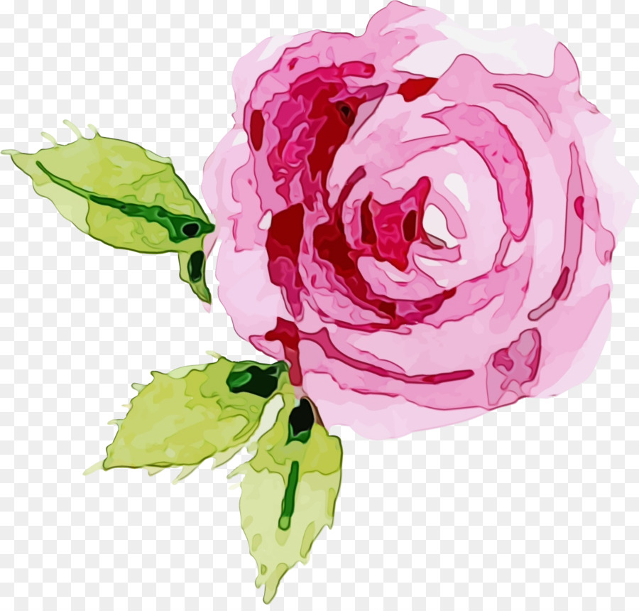 Fleurs Roses，Fleurir PNG