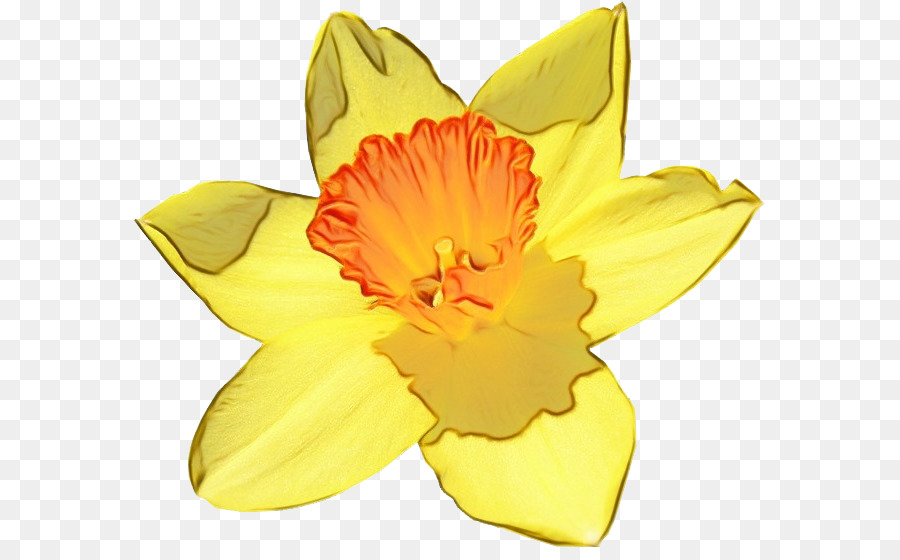 Fleurs Jaunes，Fleurir PNG