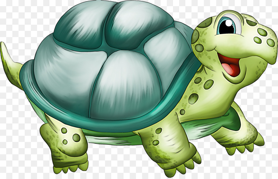 Tortue，Reptile PNG