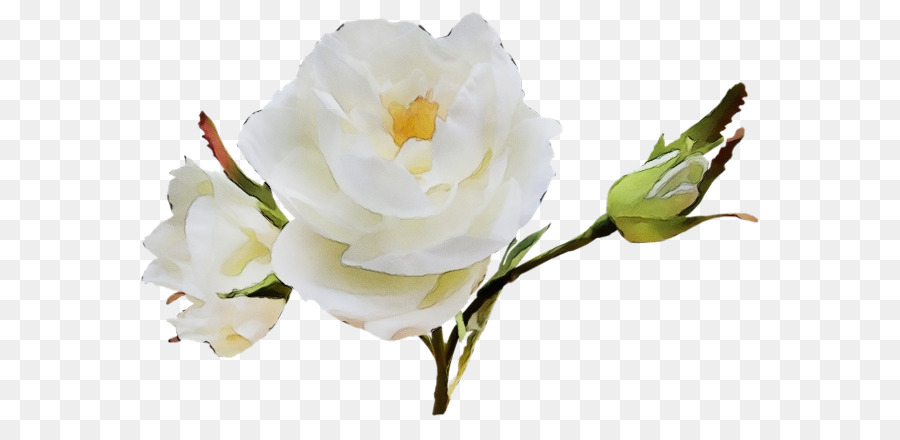 Fleurs Blanches，Fleurir PNG