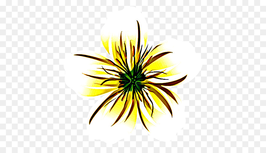 Jaune，Fleur PNG