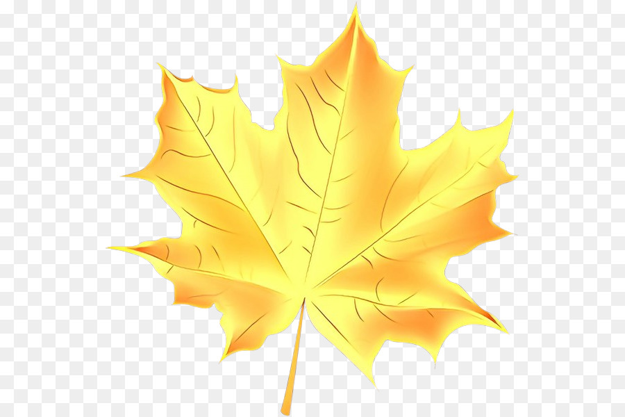 Feuille，Automne PNG