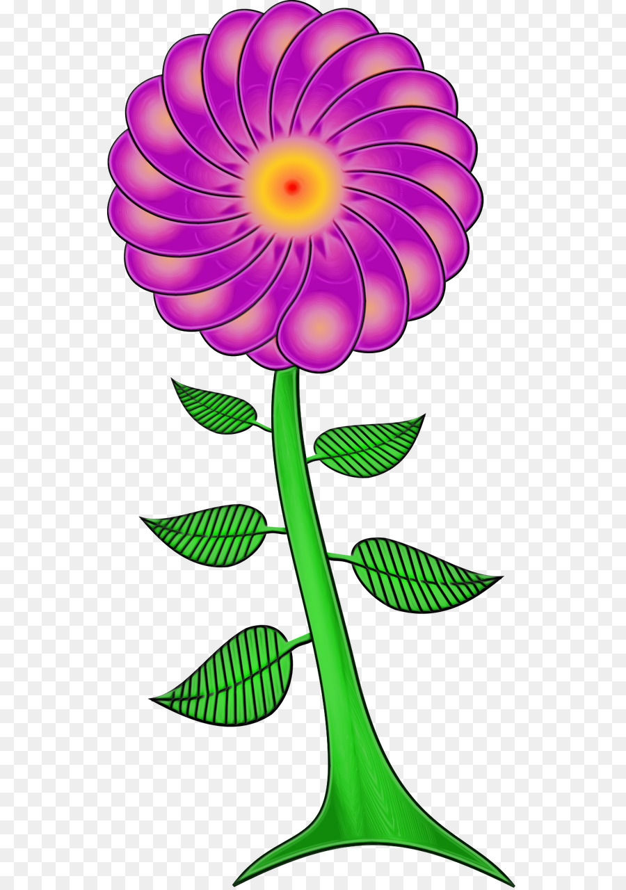 Fleur，Plante PNG