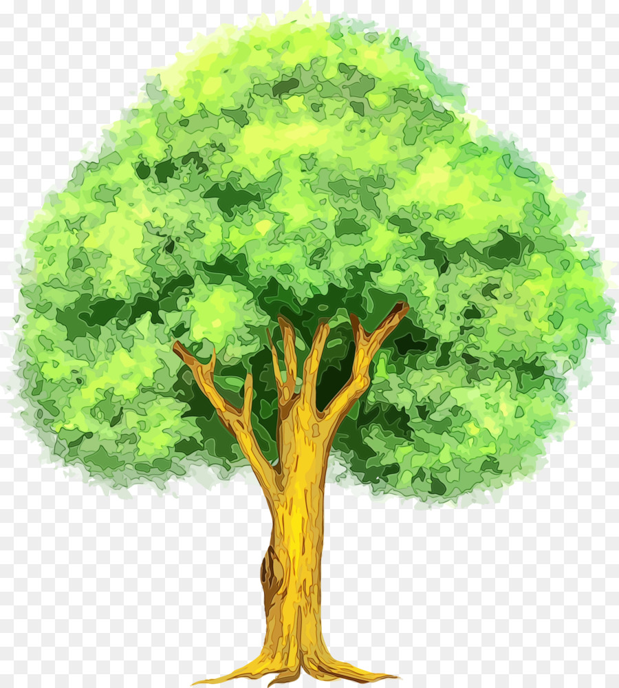 Arbre Vert，Feuilles PNG