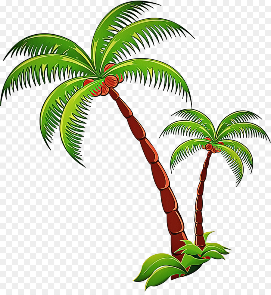 Arbre，Plante PNG