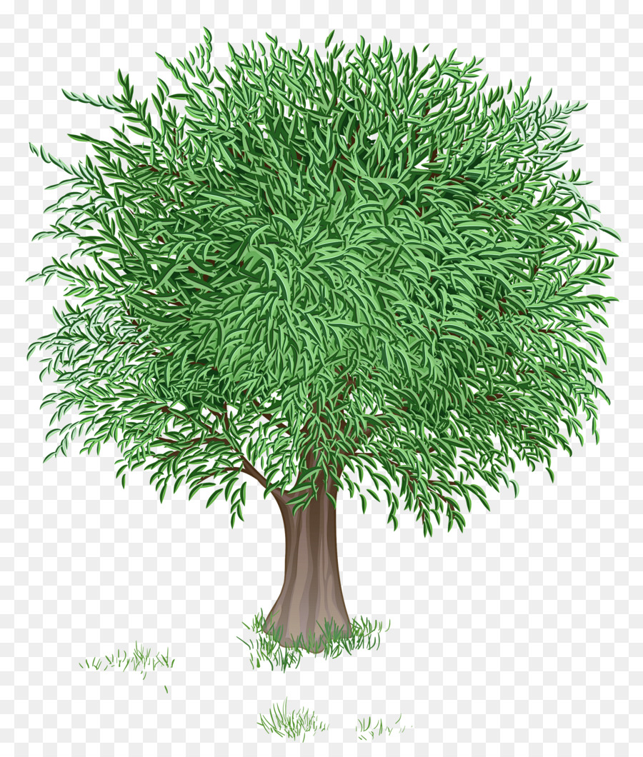 Arbre Vert，Feuilles PNG