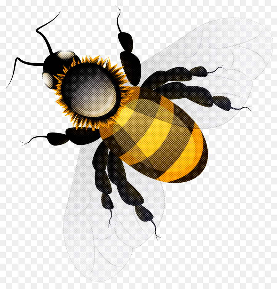 Insecte，Abeille PNG