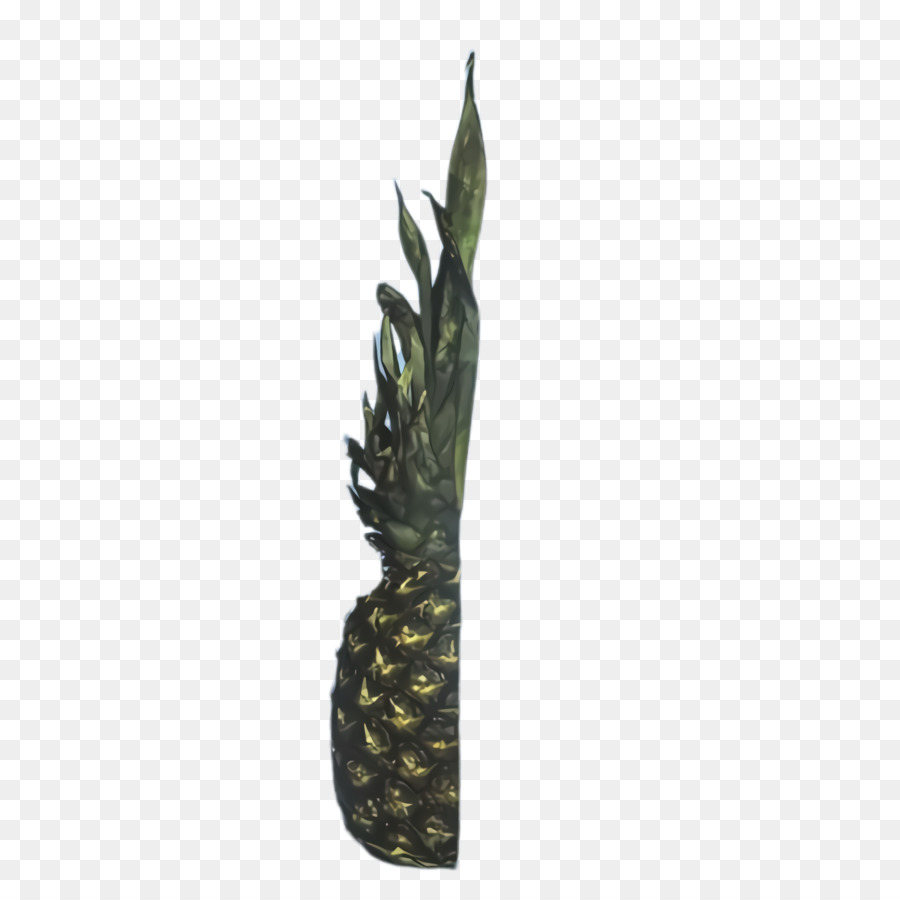 L'ananas，Ananas PNG