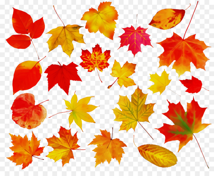 Feuilles D'automne，Automne PNG