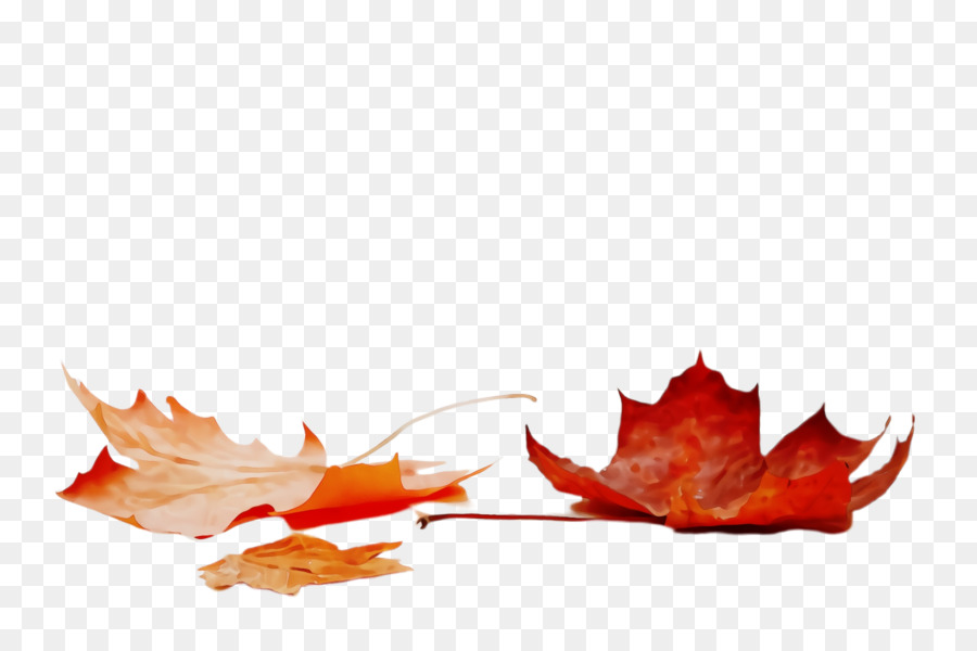 Feuilles D'automne，Automne PNG