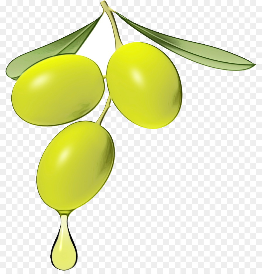 Jaune，Olive PNG