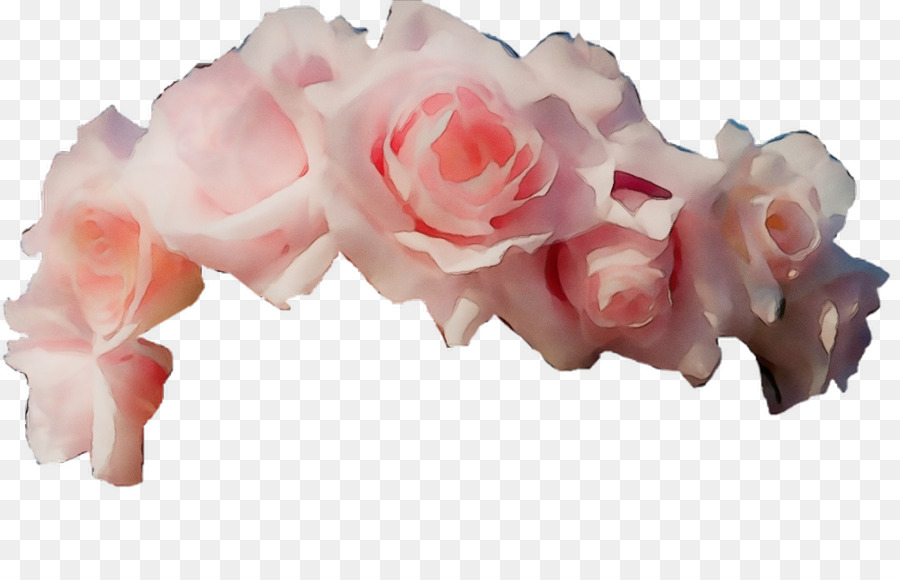 Rose，Floraison PNG