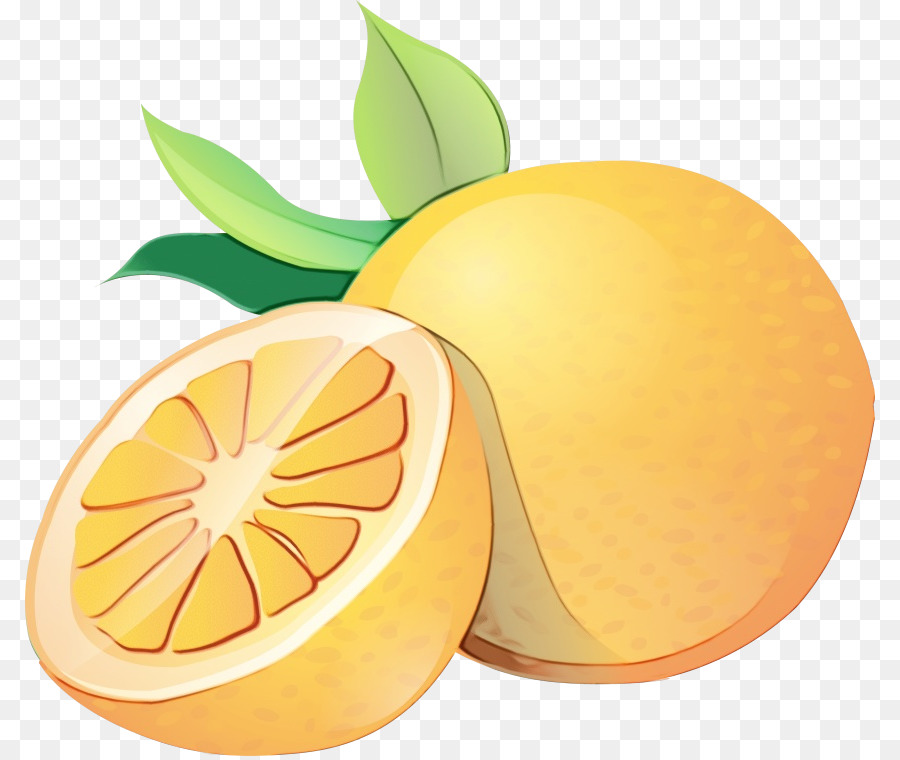 Agrumes，Fruit PNG