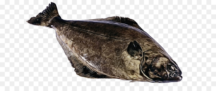 Poisson，Fruit De Mer PNG