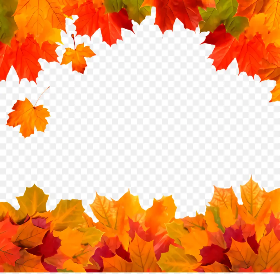 Feuilles D'automne，Automne PNG