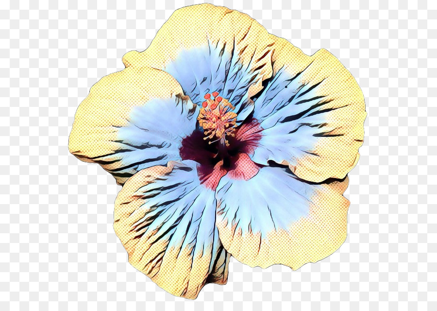 Fleur D'hibiscus，Fleur PNG