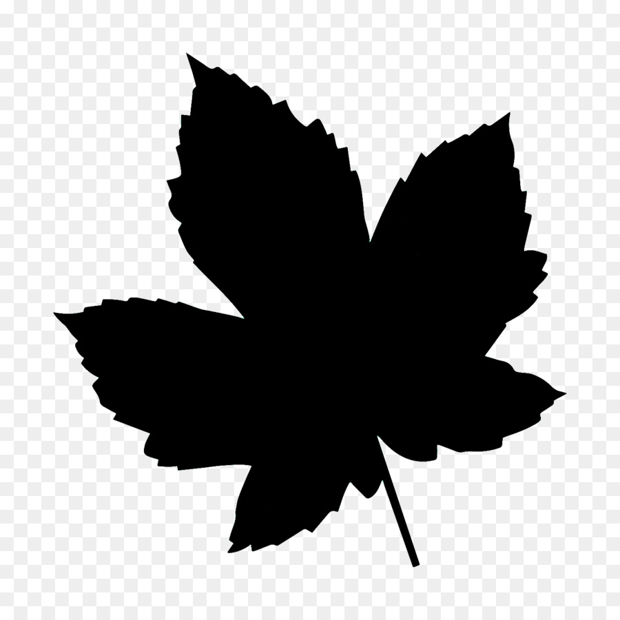 Feuille Silhouette，Feuille PNG