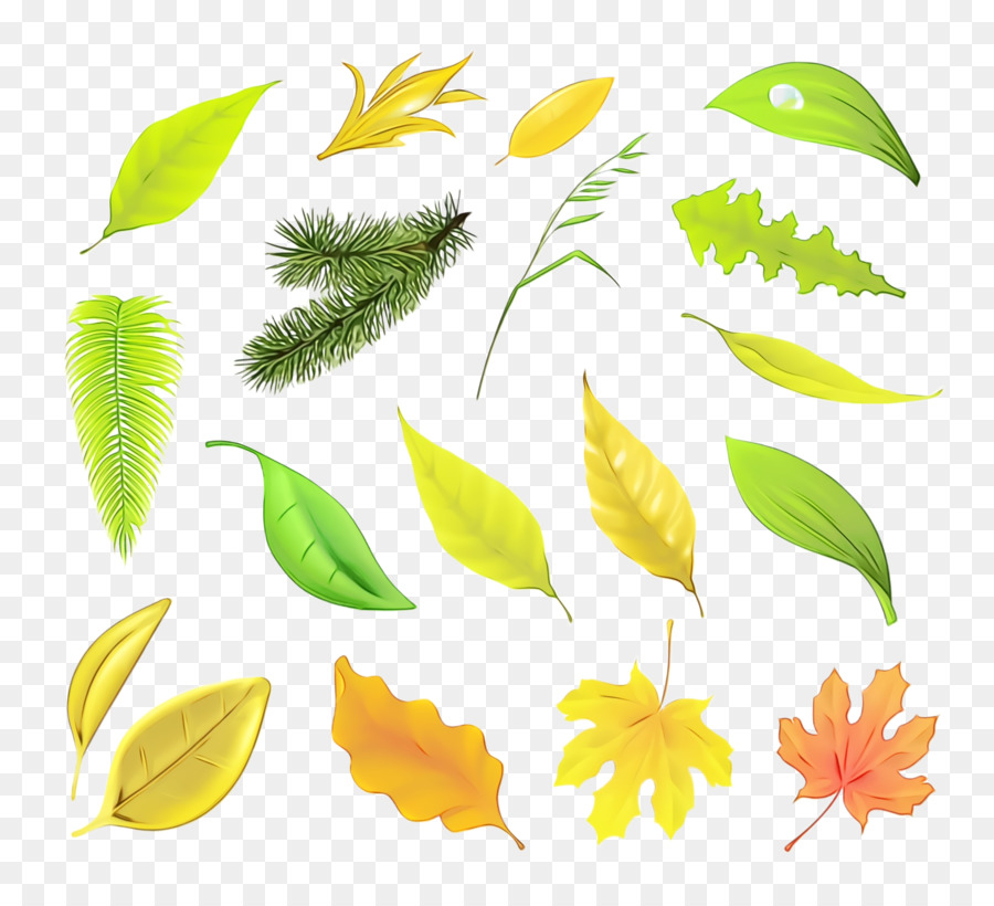 Feuilles，Vert PNG