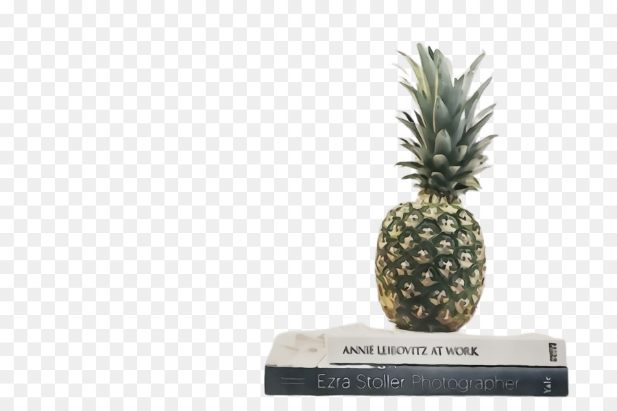 Ananas，Fruit PNG