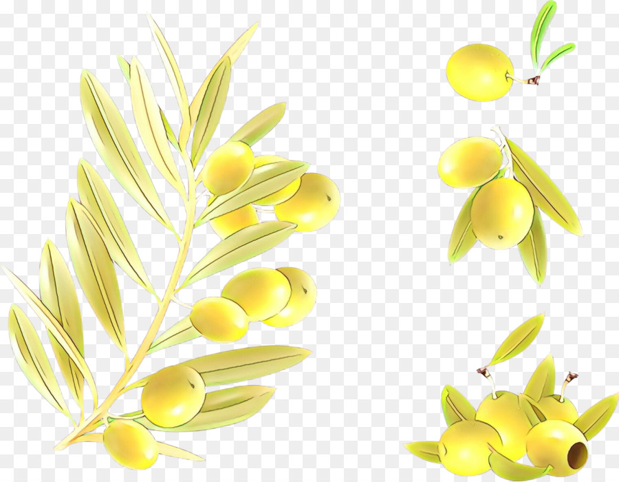 Jaune，Plante PNG